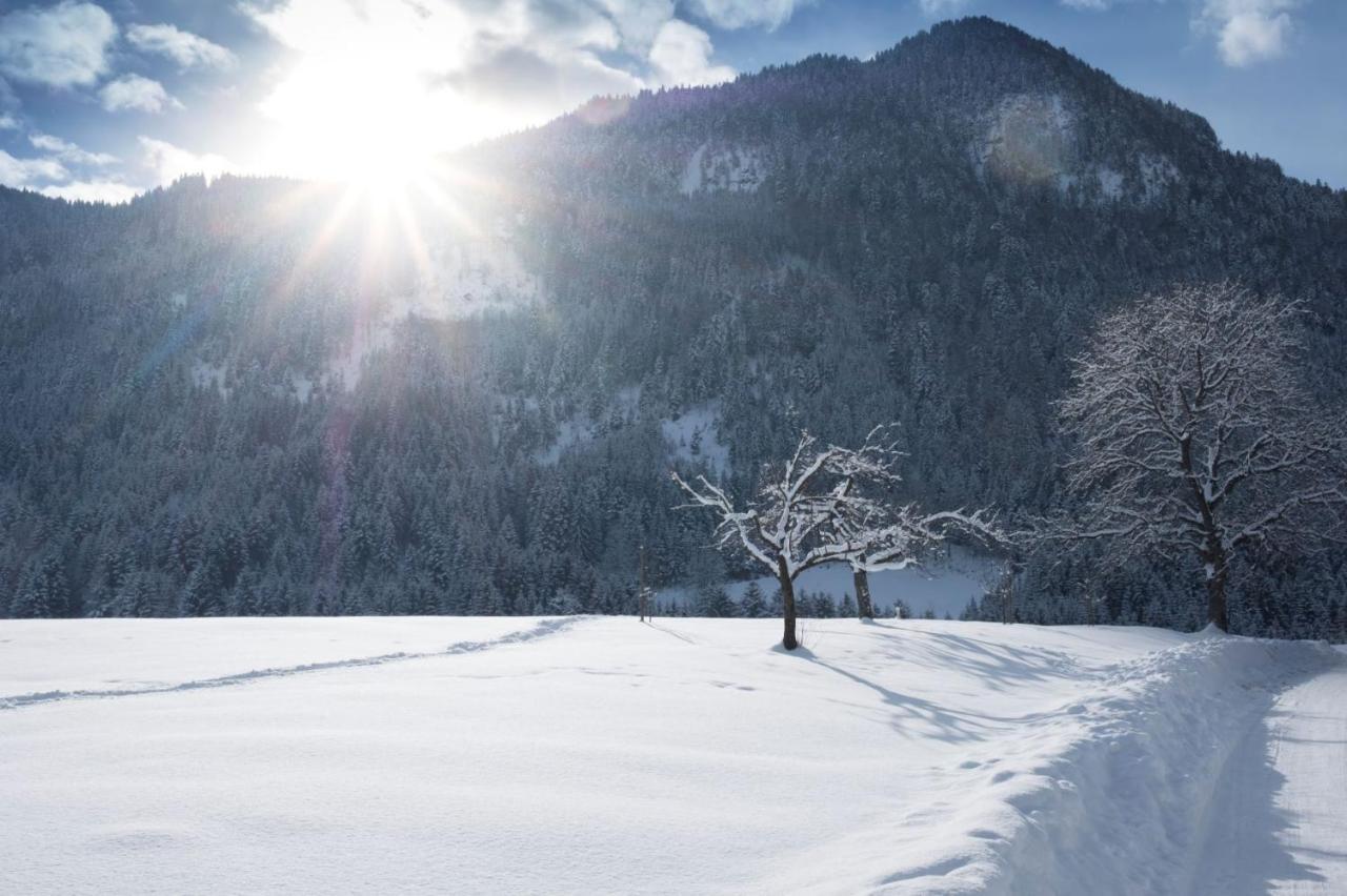 Gaestehaus Midi Reith im Alpbachtal Esterno foto
